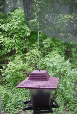 Birdfeeder, 05-20-2001, photo by Tom Rue.