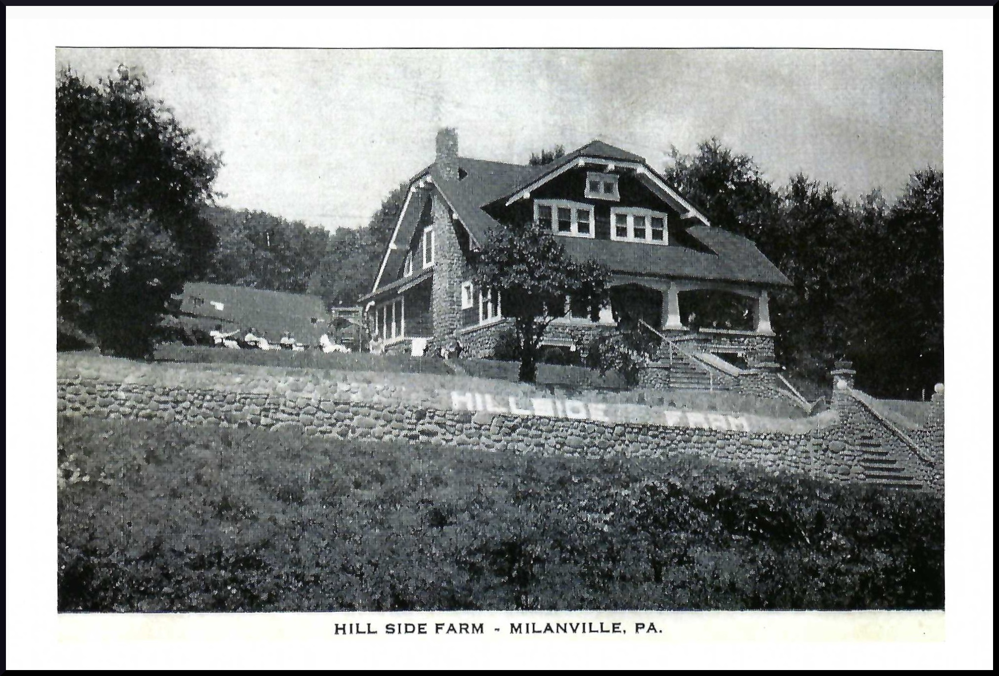 Hill Side Farm, Milanville, Pa. (vintage postcard)