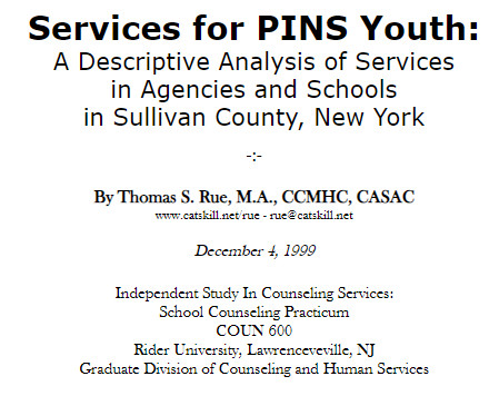 Services for PINS Youth (Rue, 1999)