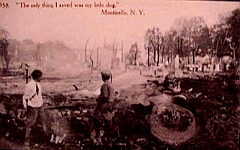 1909fire-littledog