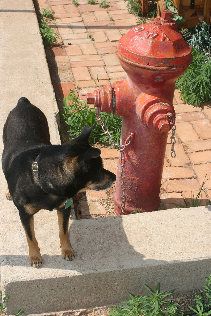 co-mission-services.com-FireHydrant.jpg