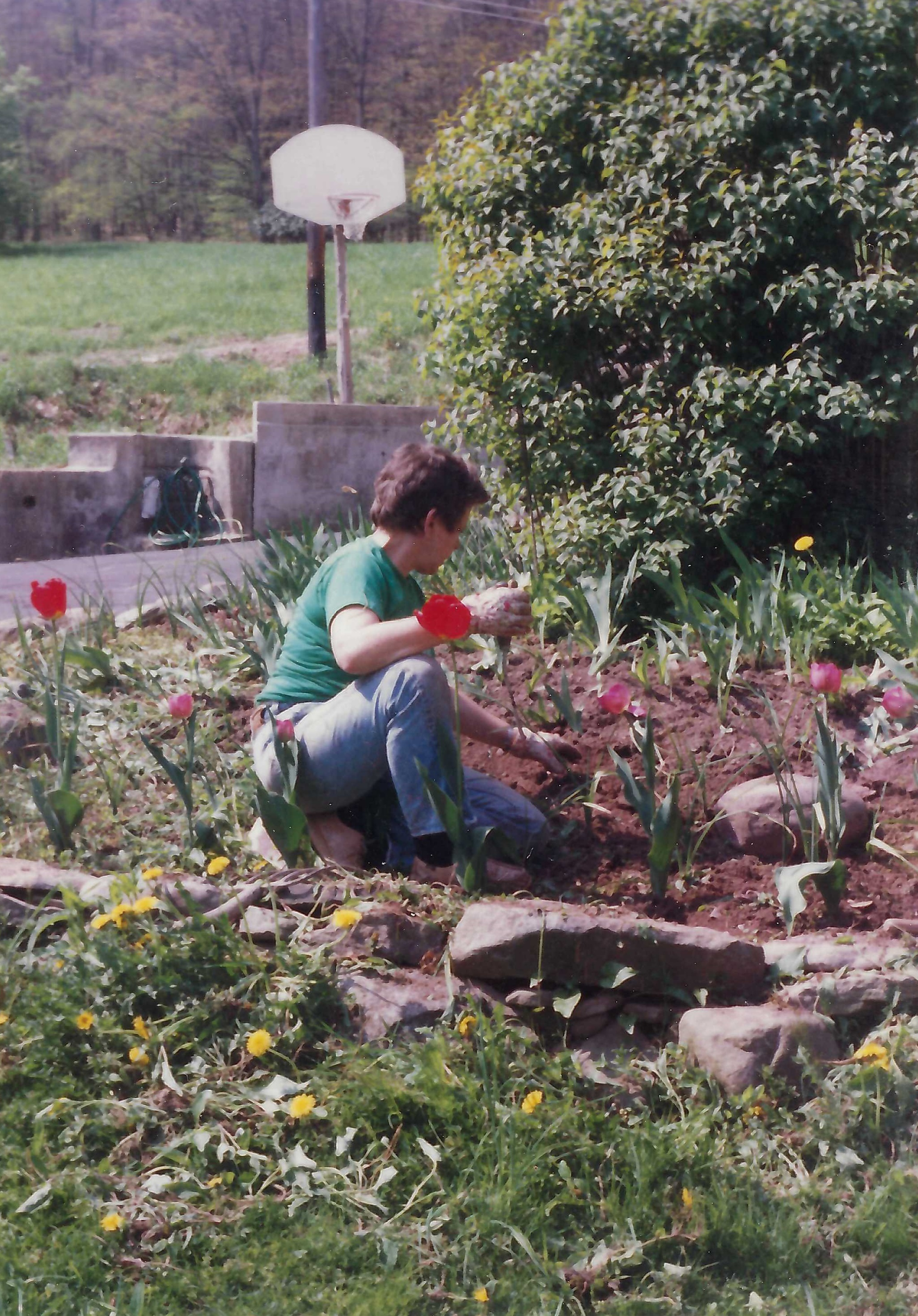 Ann Rue restoring Innisfree to its former glory