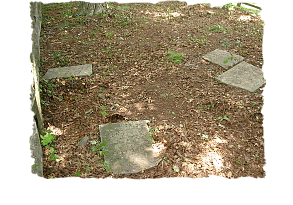 Click to view album of the Litts cemetery